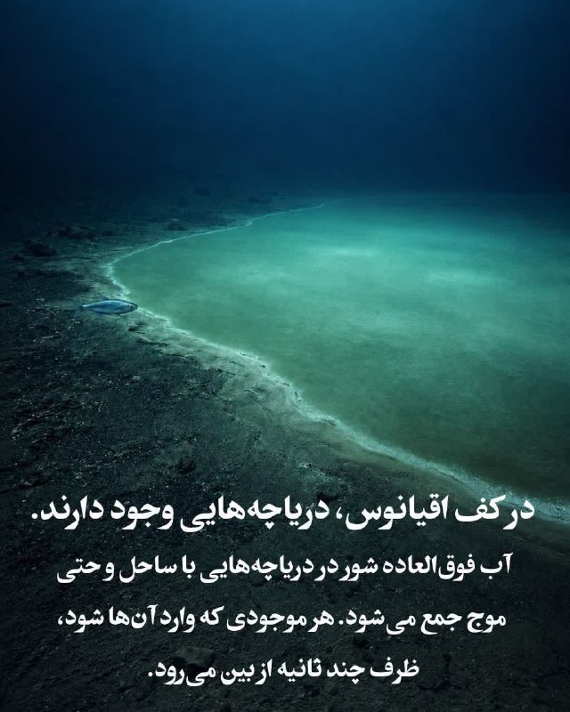 کانال فراسو مدیا 💯: چند نکته جالب در مورد اقیانوس🌊🆔@innernote1چند نکته جالب در مورد اقیانوس🌊🆔@innernote1