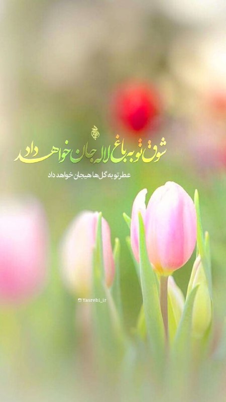 Shieclip: 🚩 السلام علیک یا صاحب الزمانشوق تو به باغ لاله جان خواهد دادعطر تو به گلها هیجان خواهد داد🔅اللهم عجل لولیک الفرج🔅#لبیک_