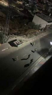قوات الاحتلال تقتحم وادي الحصين في مدينة الخليل
