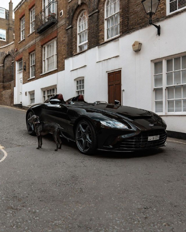 Aston Martin Speedster 😎▪️V12 5.2 L twin-turbocharged▪️690 Hp, 752 Nm▪️8 speed