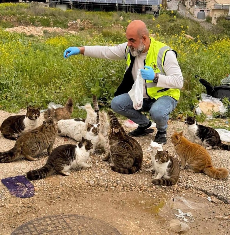 תושבי נבטיה מרוקנים חנויותיהם: "אין אמון שהמחר יהיה דומה להיום"
