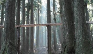 广告_森の木琴，每一个音符都是整片森林的呼吸这是一则来自日本电信公司 NTT DOCOMO 的创意视频。一个长长的木质桥状结构赫然出现在宁静的森林之中，用一颗小木球的精心编排，演绎出灵魂化境。本片中的手机外壳为纯木质结构，所需木材均来源于日本的人工可再生林。NTT DOCOMO 希望以此款广告鼓励人们关注日本的人工造林工程。 From sakura4250via 开眼Invalid media: video