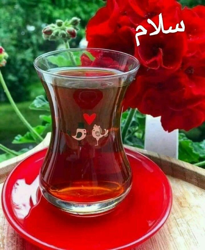 ☀️_محفل دوستانه..Mehr -☀️: امروز خدایی منتظر توست کهاز همه مهربونترهبهش اعتماد کنو زندگی رو با نامش آغاز کن.روزتون زیبا💕