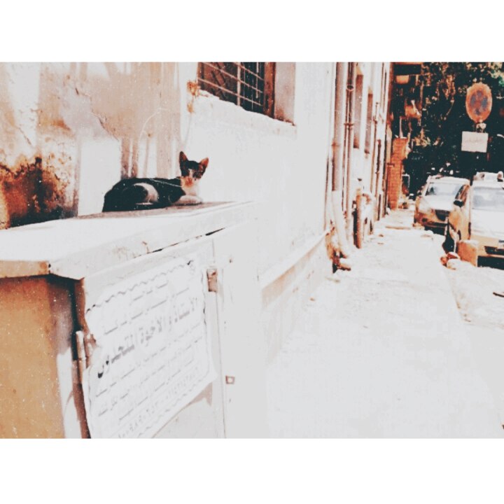 第 519 天、一年多、17 個月。她一直都在從沒離開過。