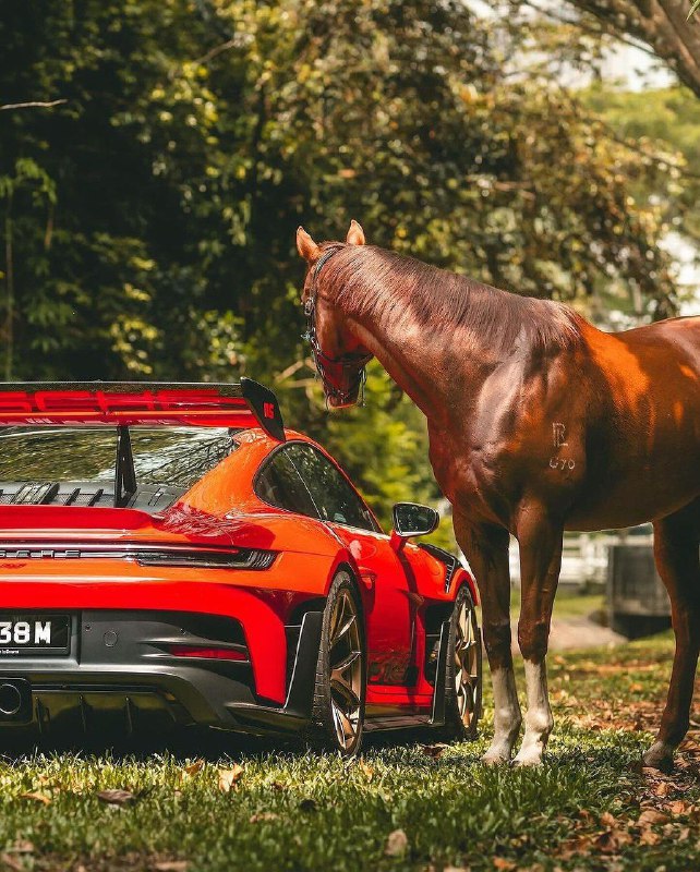 GT3 RS + 1 л.с. 2