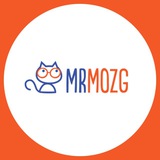 Мистер Мозг