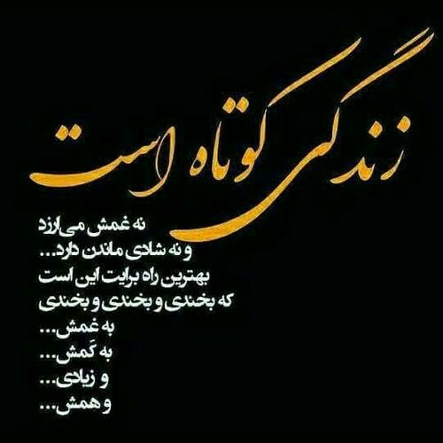 🌹روزگاری غریب🌹: 🌸زندگی عمریست که اجل در پی آن می تازد🌸هرکس غم بیهوده خورد می بازد🌸هر که را بینی به فال بخت خود ناراضی است🌸کودک و پیر و ج