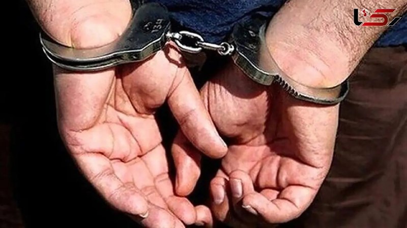 آژانس خبری رکنا | Rokna NEWS Agency: 🔶 دستگیری سارق حرفه ای رینگ و لاستیک خودروهای شاسی‌بلند در تهران 🔸 سرکلانتر دوم پلیس پیشگیری پایتخت از دستگیری سارق حرفه