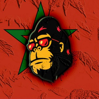 FEG - Chat Morocco 🇲🇦 Telegram Group Link