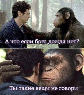 Молятся ли обезьяны богу дождя? Тут рассказывают о зачатках религиозного сознания у животных: https://lentach.media/0n6LO