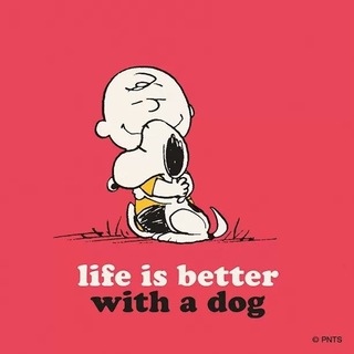 Perlovka dogs ❤🐕