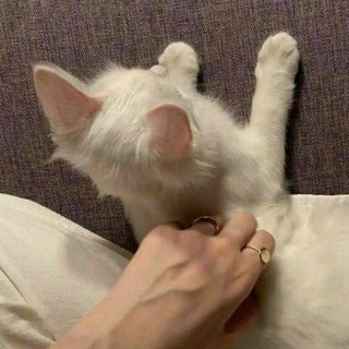 BTS wallpaper and lyrics Telegram Group Link