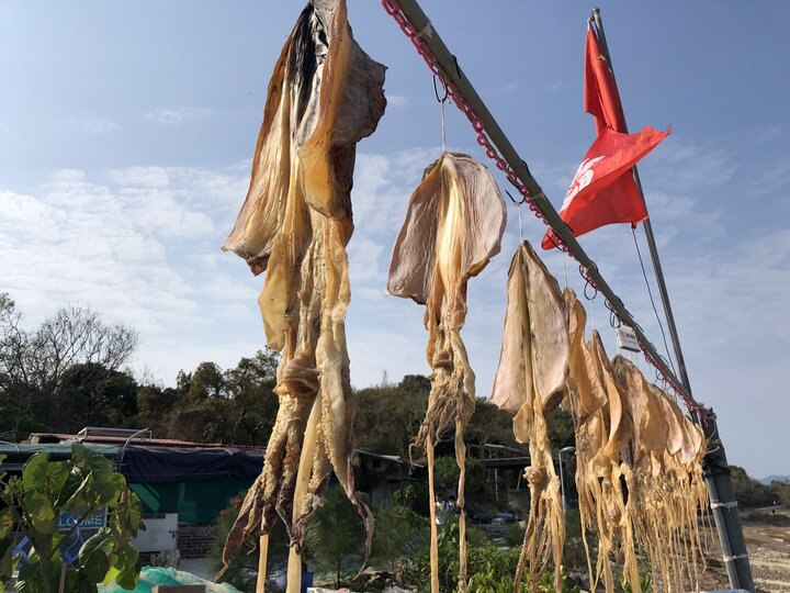 奇石小島， 世外桃源 －東平洲