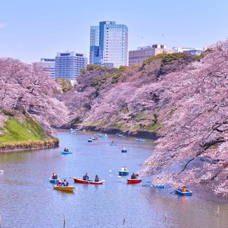 Япония — Экскурсии Telegram Group Link