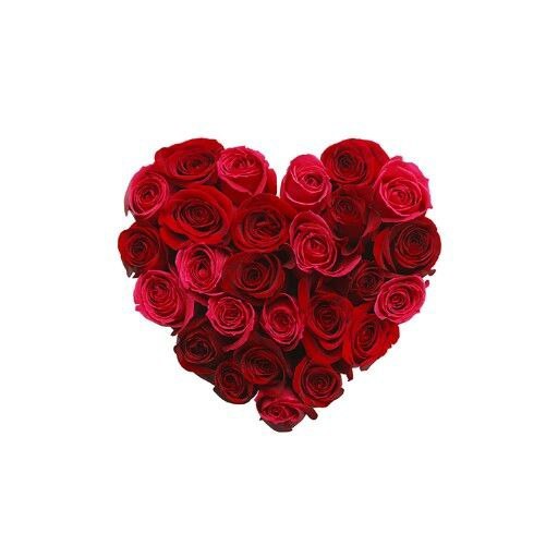 ️گالری عکس و پروفایل: قلب⭐️@aks_profilestar