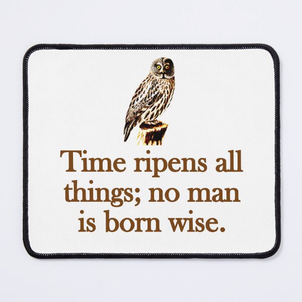 English Quotations: time ripens all things no man is born wise.زمان همه چیز را می‌رساند ،هیچ‌کس خردمند زاده نشده است.@EngQuotations