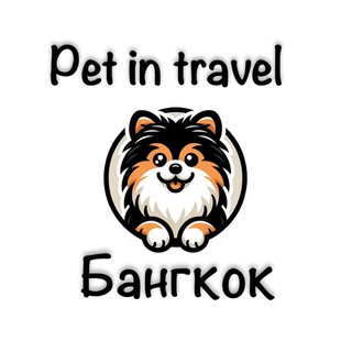 Бангкок с питомцем I Pet in travel Telegram Group Link
