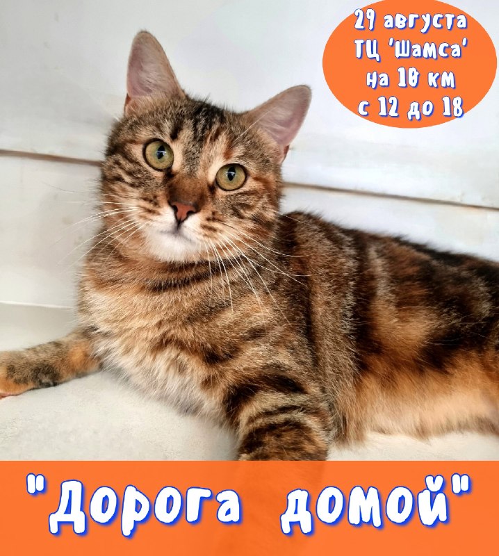 Сегодня в ТЦ "Шамса" на 10 км пройдет акция...