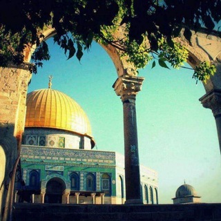 Telegram profile photo for مؤمن مقداد