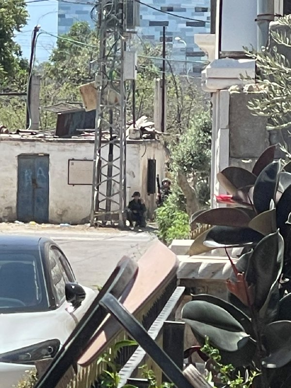 צה"ל החרים חומרים חקלאיים ודשנים בפשיטה בקלקיליה