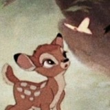 мила
