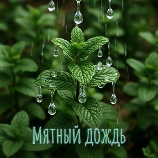 🍃Мятный дождь🍃