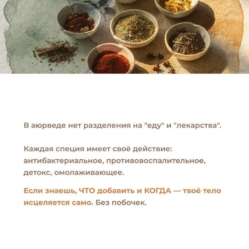 Еда — не просто калории: ваш секретный союзник в борьбе за здоровье 2