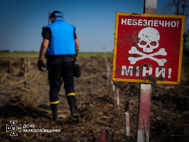 75 саперів і 25 одиниць спецтехніки ДСНС щодня розміновують Миколаївщину, навіть коли спека сягає +40°C