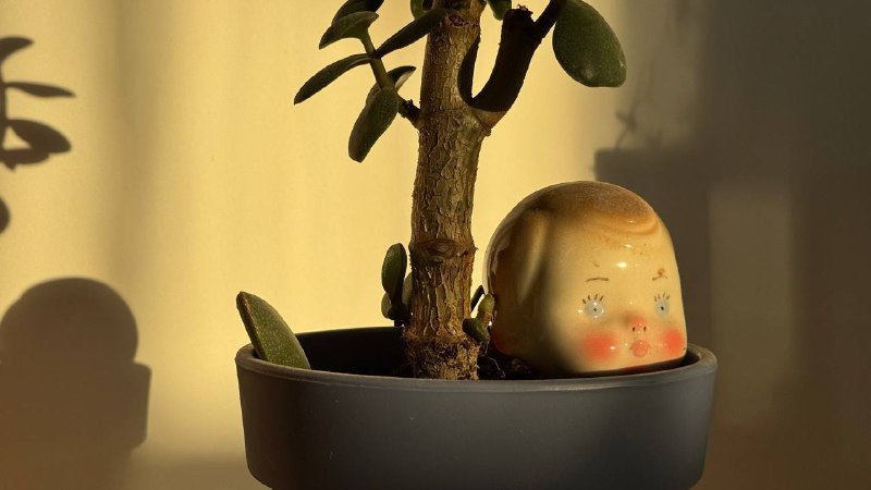 В гостях в новой мастерской у любимого бренда керамики POVEDAIIНикогда, до встречи с этим брендом, не интересовалась керамикой. Тем более, не коллекционировала. Результат сегодняшнего дня — обсессия 🫢💘В гостях в новой мастерской у любимого бренда керамики POVEDAIIНикогда, до встречи с этим брендом, не интересовалась керамикой. Тем более, не коллекционировала. Результат сегодняшнего дня — обсессия 🫢💘