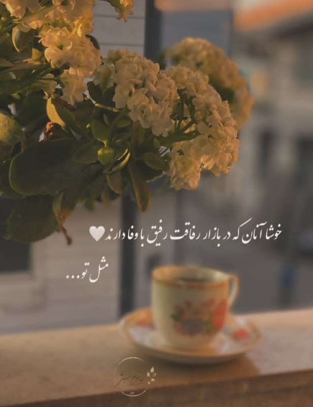 👑 شهر عکس 👑: 💜 @shahreeaks 💜