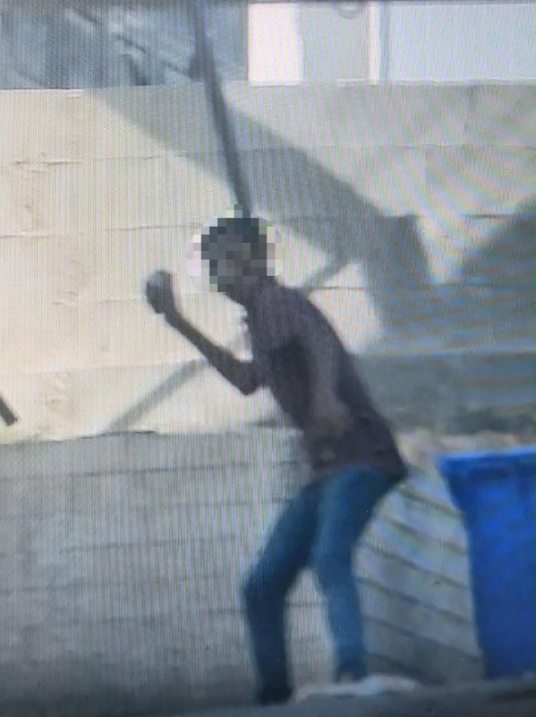 ענבר טויזר