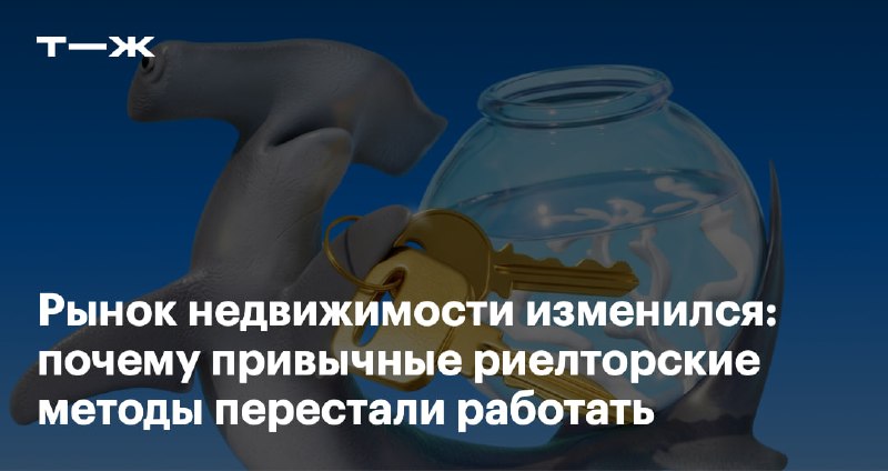 Иллюстрация к посту канала Т—Ж Свой угол