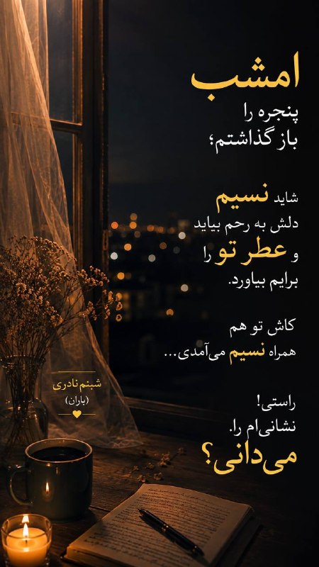 شبنم نادری: رسانه پست