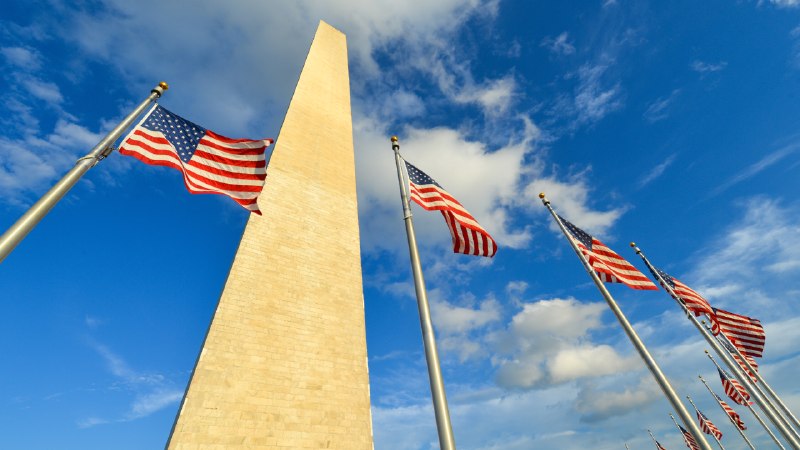 History flies highUS flags surrounding the Washington Monument, Washington, DC  (© Orhan Cam/Shutterstock)