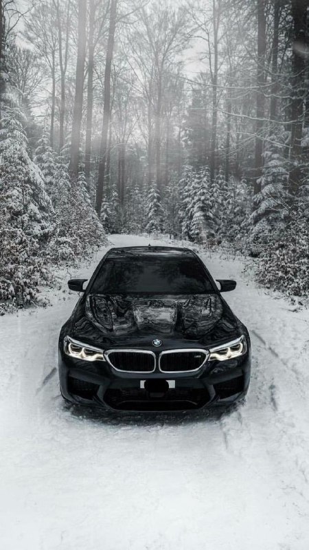 https://t.me/bmw_mpower_club