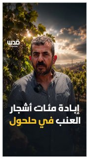 "אנחנו נטועים בארץ ואני אשרש בה את בני. אנחנו צאצאי כנען, לפני העריקים הנעלמים האלה".