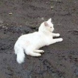НеОбитель