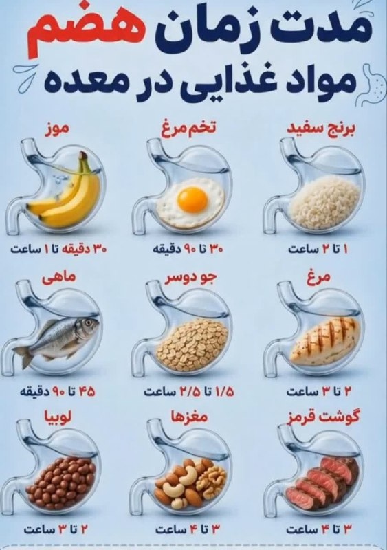 پاتوق نوری ها: 🔺مدت زمان هضم مواد غذایی!؟@PatoghNOORiha