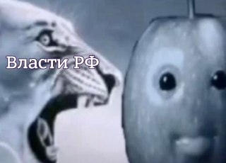 Представитель ЦИК в Верховном суде заявил об отсутствии оснований для отмены решения о снятии «Яблока» с выборов, передает ТАСС.Во время рассмотрения апелляции «Яблока» Верховный суд отклонил все ходатайства партии, сообщает ее пресс-служба. ЦИК также выст