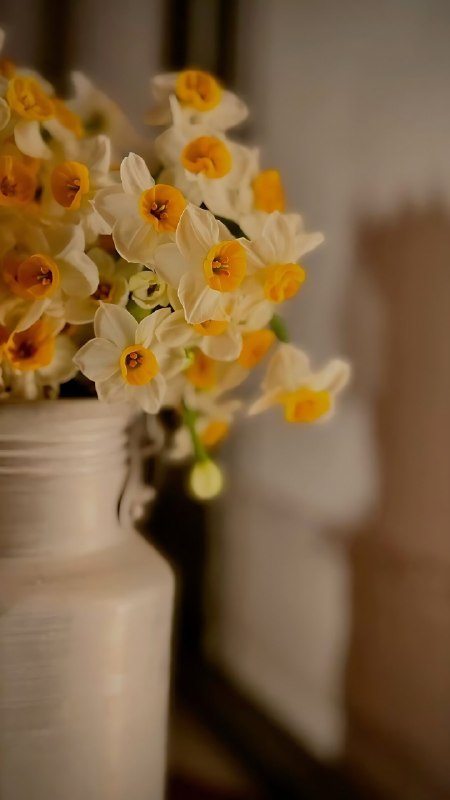 |هـَواي‌حسِین....🌱: و سلام بر توکه زمین بدون تو شایستهٔ سکونت نیست..💛#اللهم_عجل_لولیک_الفرج #پروفایل| @HAVAY_HOSEIN |