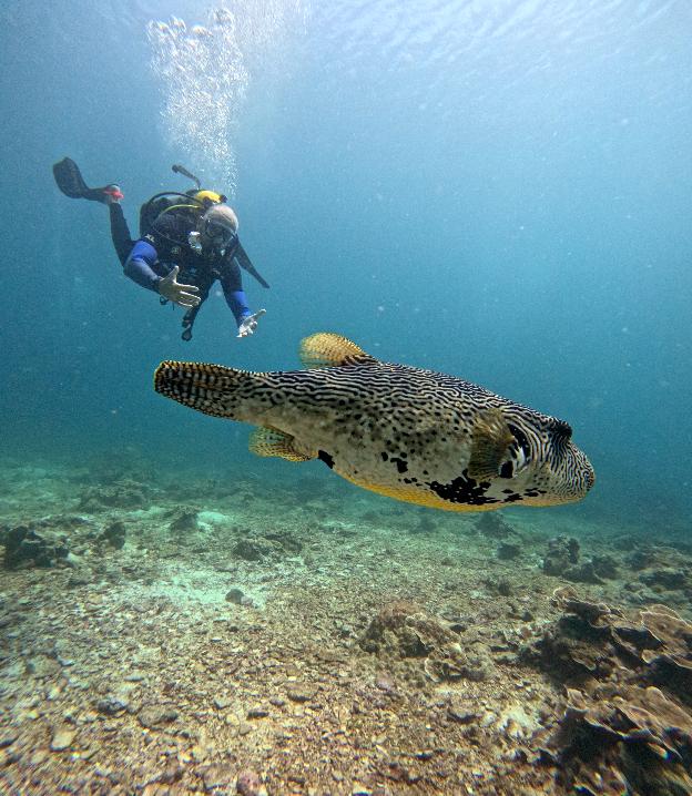 Изображение 5