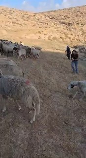 רשת חדשות ירושלים