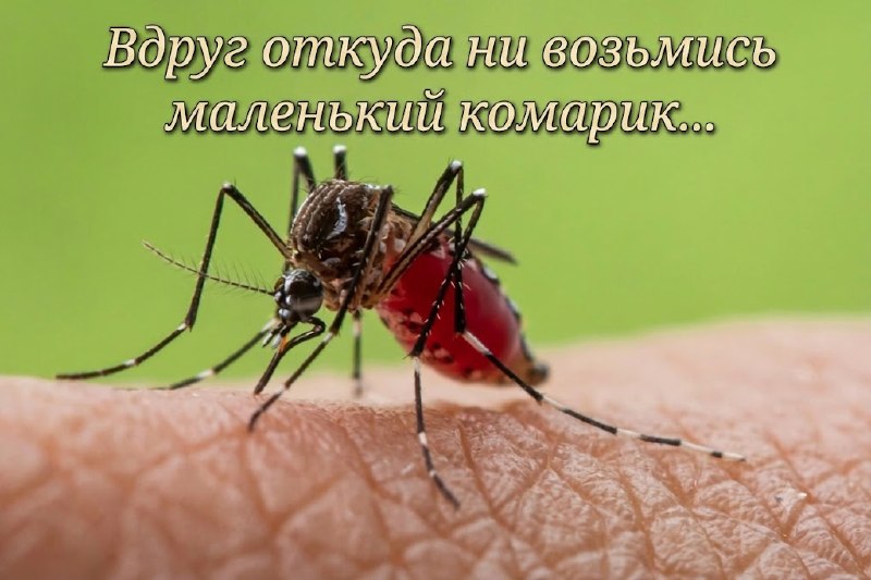 vQz7N8g8sqRvReGdseACkNHSyMVLmDf0T3q8H3ht8bfwMR0YM1T0eo0-NVQrTc8ocSlvIahVzkhXI2CeMXzKU4bItqfajPQV7yERFYRp9_xdw9zhjIkYUmN6sdoAKE9sBQe942TJ8JOJ1IMz3bZWbQn53Ptu2ZcX_DqDzEn8C808jSWsv316mEaMdxCNQ8hnulmPWUUfo3mhEsUwBVfNoYcPk1lUC8H2C4yZRWHp_gTNRTkTi8ZG_d_CBMYGXsT8rP_1iMNSt7CttI5cYSIpHCiYU44f_k4Li1mupVxzEmglCQC2Wxgmmd7e6KepSsqpjcbIYqCfllgEFKBNrDByYA.jpg