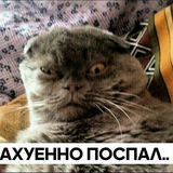 Укуренные козлы
