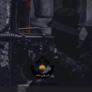 مجموعات عرين الأسود 🖤