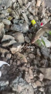 לא נאכל. כנראה נשחרר אותך." זומבים תפסו דגים באיסת. הם הראו את הגביע עם שמח למען הנוער, כמובן! אנו תומכים ב…