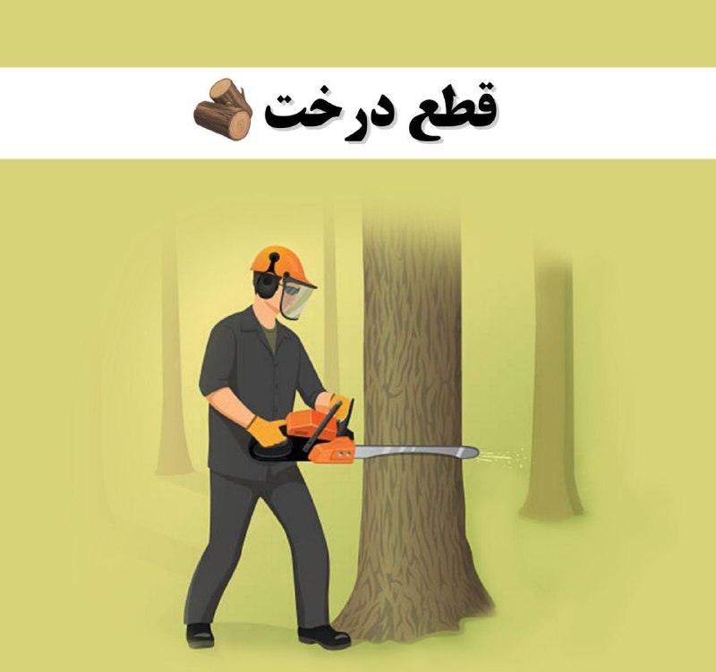 🍀ییلاق🍀ابرده🍀: 🌳#آیا_میدانستید قطع درخت جرم است؟⭕️#کافه_حقوق⚖🪵طبق قانون، هر کس درختان را عمدی قطع کند، علاوه بر جبران خسارت وارده ، به