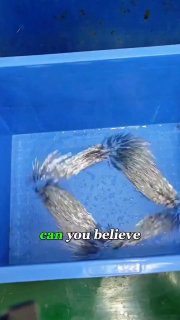 A fast and efficient way to polish metal using magnetsScience and facts💡