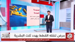 טפיל שמדביק כשליש מבני האדם.. כיצד מועברת הטוקסופלזמה? היום הזה