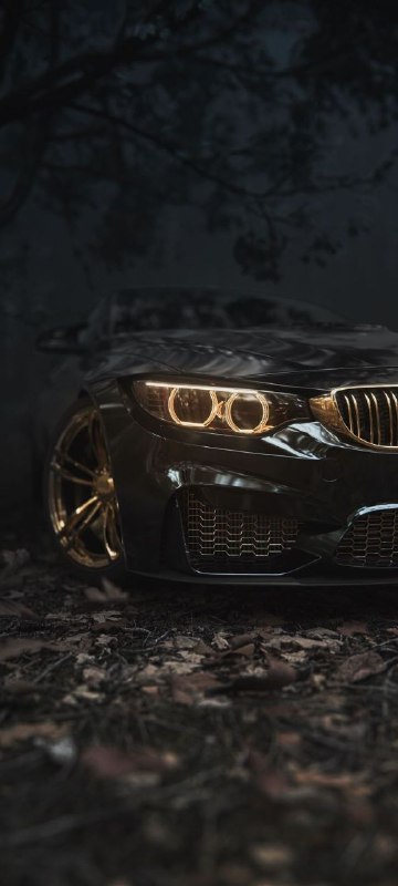 https://t.me/bmw_mpower_club